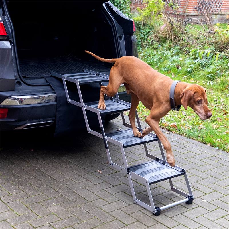 Rampe ou escalier pour chien : quelle solution choisir pour accéder au coffre de la voiture ?