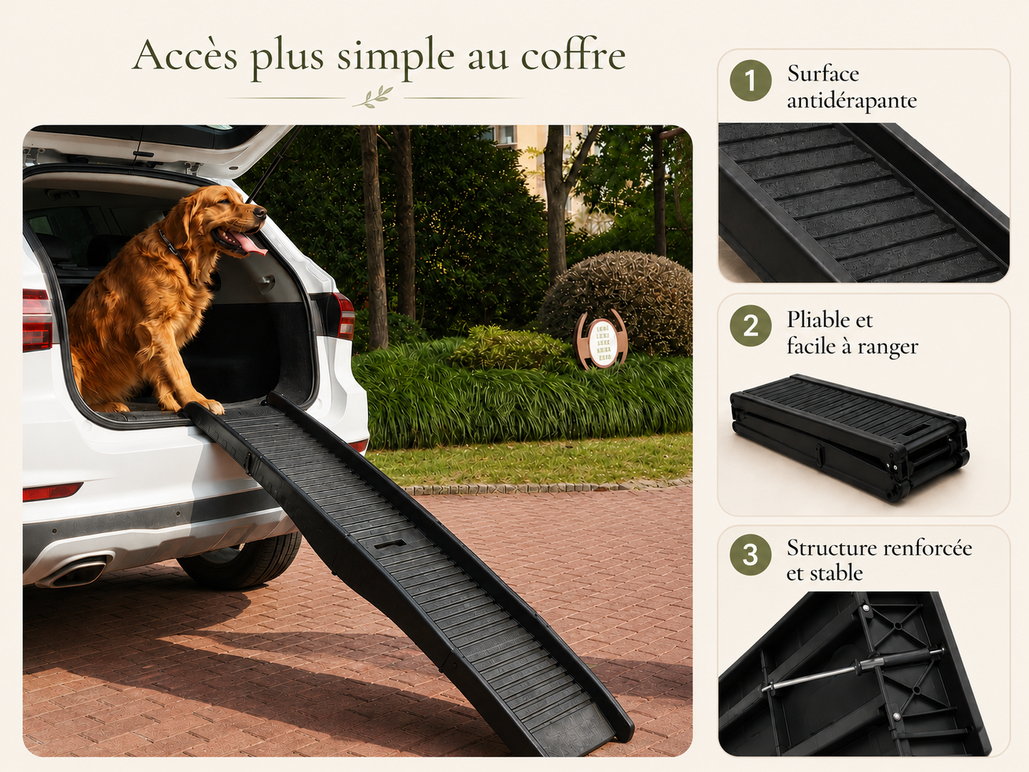 Rampe Mobilité Coffre | Grands Chiens & Chiens Lourds